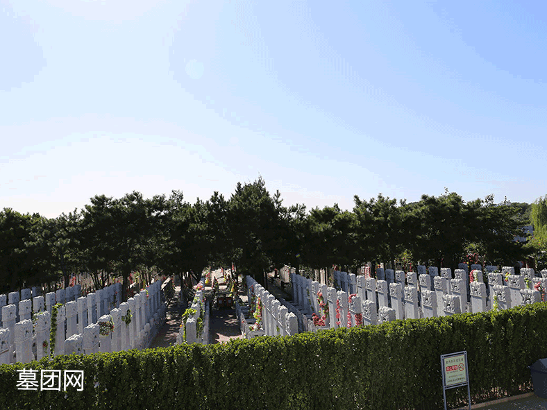八宝山人民公墓-墓区景观