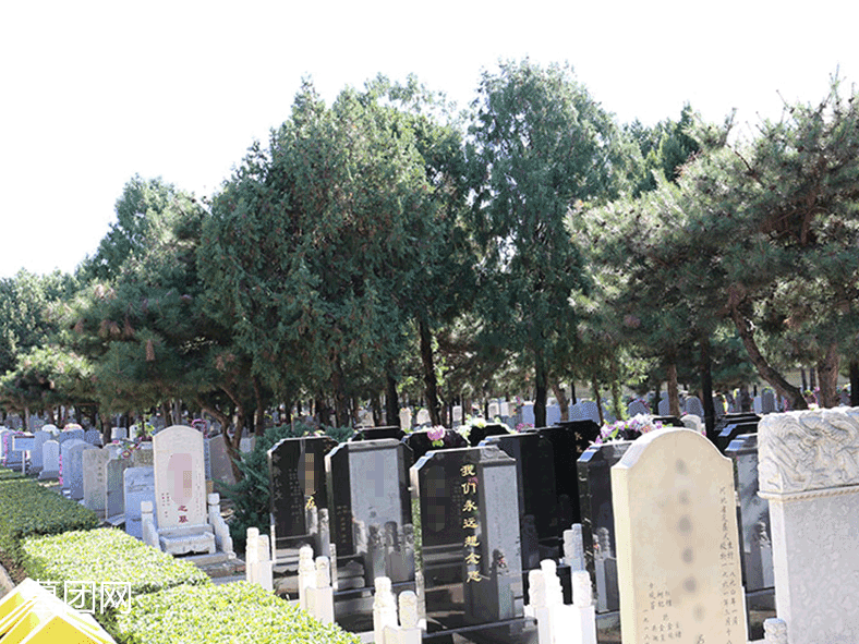 八宝山人民公墓-墓区景观